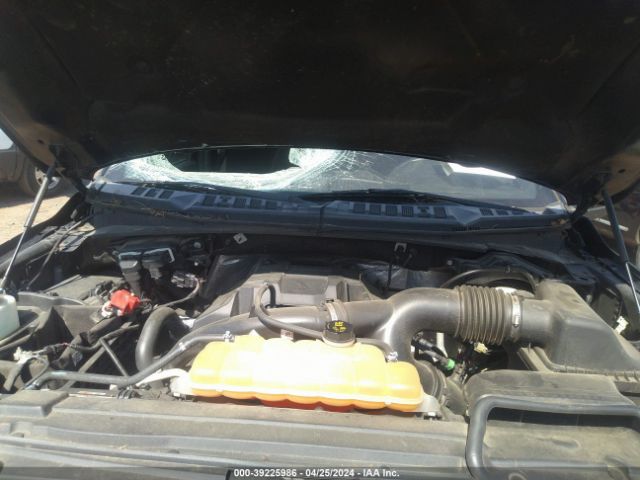 Photo 9 VIN: 1FTEW1EP4GFC83137 - FORD F150 