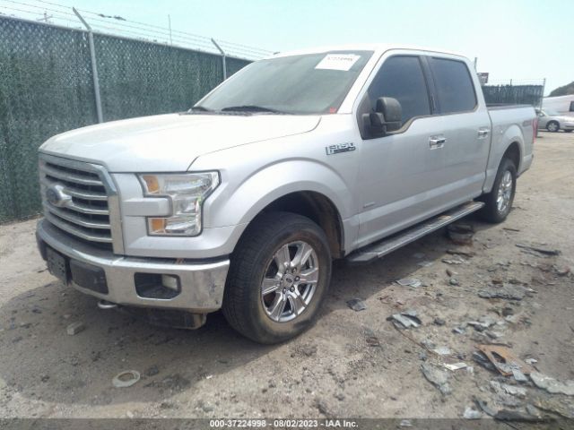 Photo 1 VIN: 1FTEW1EP4GKD31369 - FORD F-150 