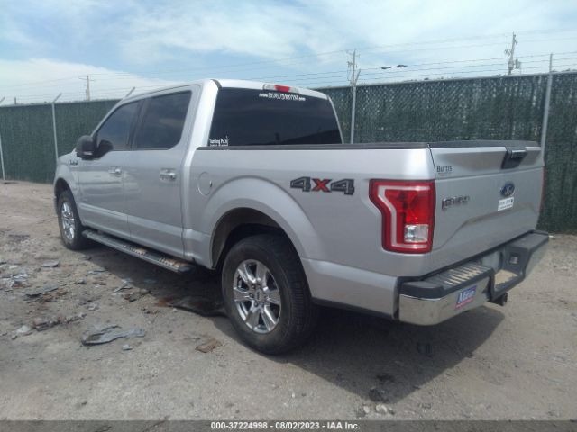 Photo 2 VIN: 1FTEW1EP4GKD31369 - FORD F-150 