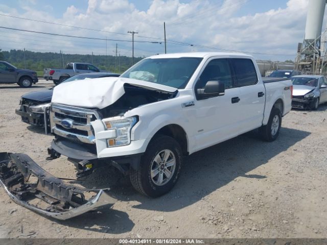 Photo 1 VIN: 1FTEW1EP4GKD41576 - FORD F-150 