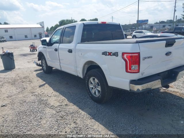 Photo 2 VIN: 1FTEW1EP4GKD41576 - FORD F-150 