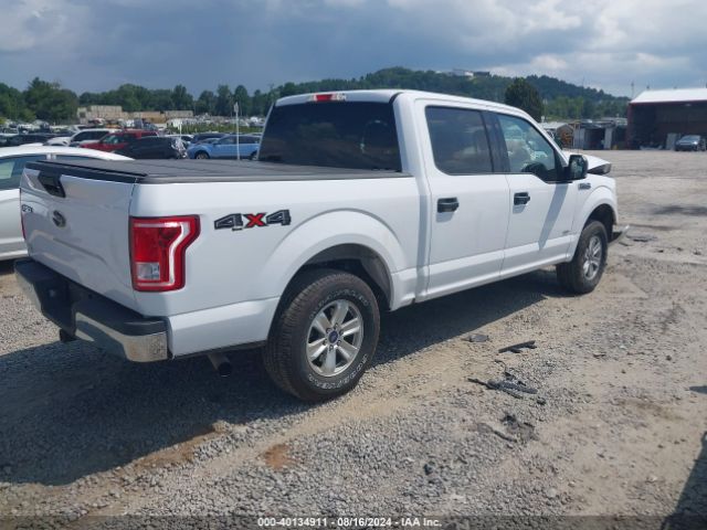 Photo 3 VIN: 1FTEW1EP4GKD41576 - FORD F-150 