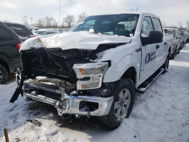 Photo 1 VIN: 1FTEW1EP4GKE31133 - FORD F150 SUPER 