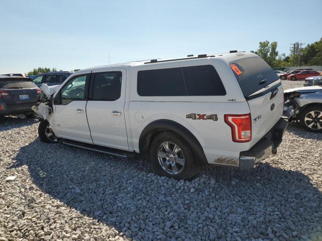 Photo 1 VIN: 1FTEW1EP4GKE83569 - FORD F-150 