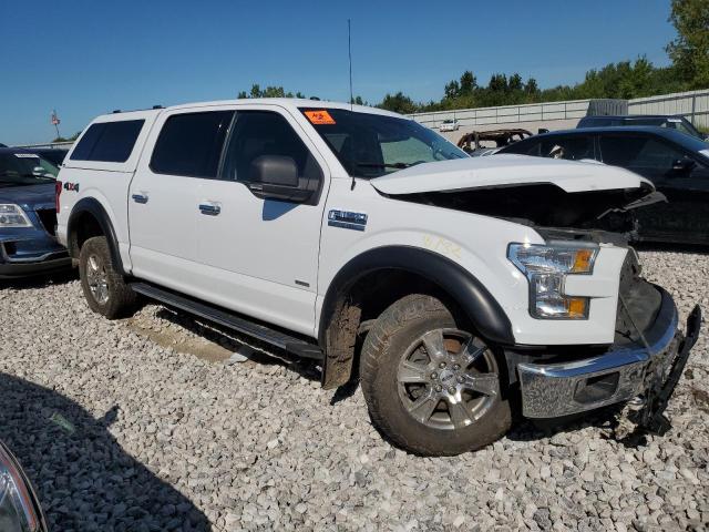 Photo 3 VIN: 1FTEW1EP4GKE83569 - FORD F-150 