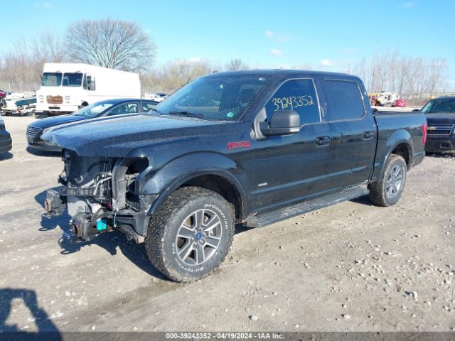 Photo 1 VIN: 1FTEW1EP4HFB33692 - FORD F-150 