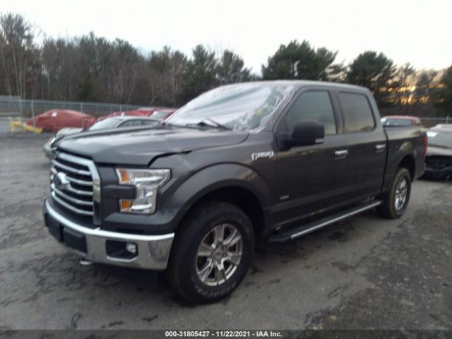 Photo 1 VIN: 1FTEW1EP4HFC74469 - FORD F-150 