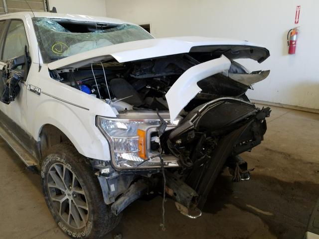 Photo 8 VIN: 1FTEW1EP4LFA37165 - FORD F150 SUPER 