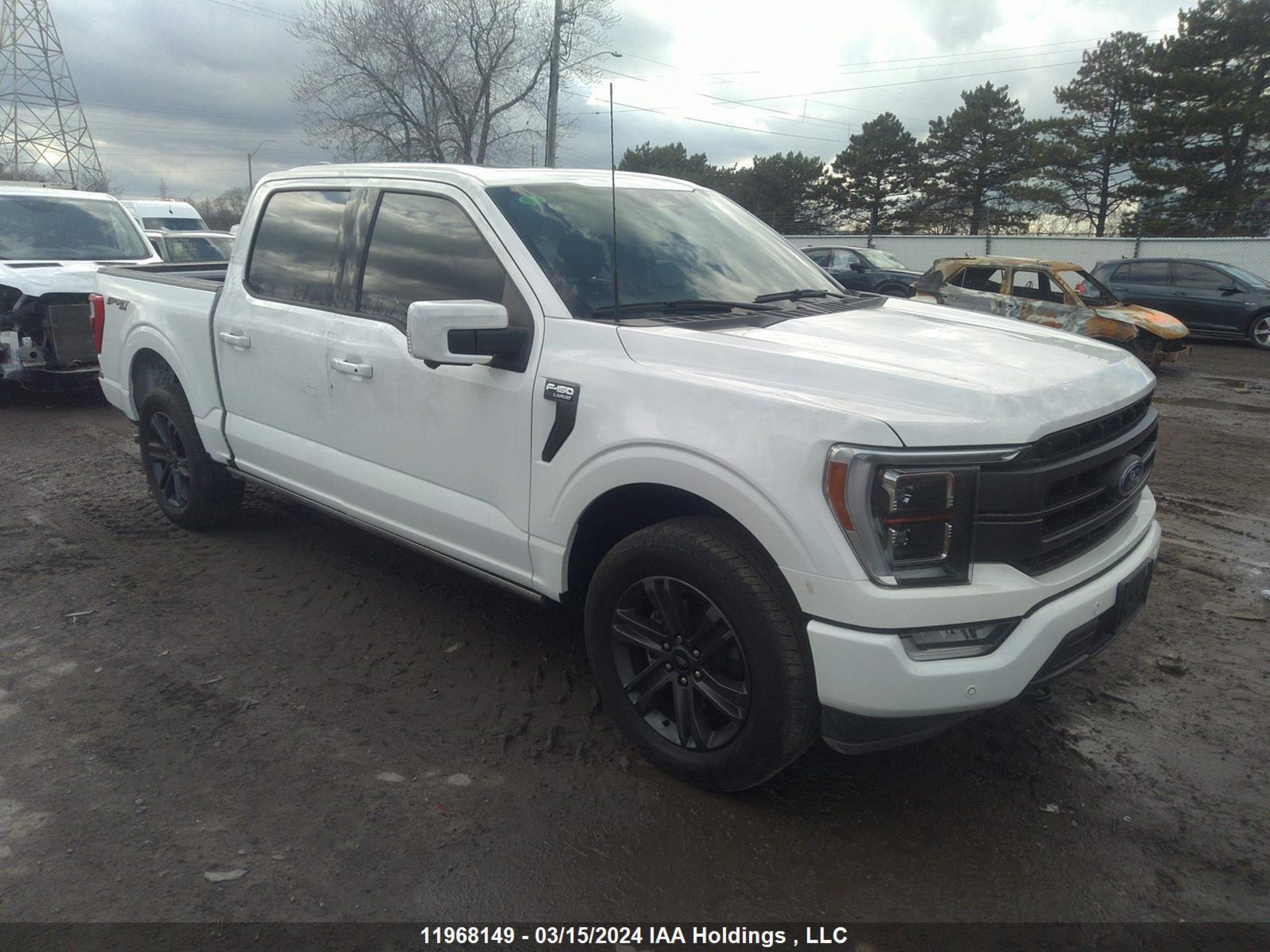 Photo 0 VIN: 1FTEW1EP4PFB39149 - FORD F-150 