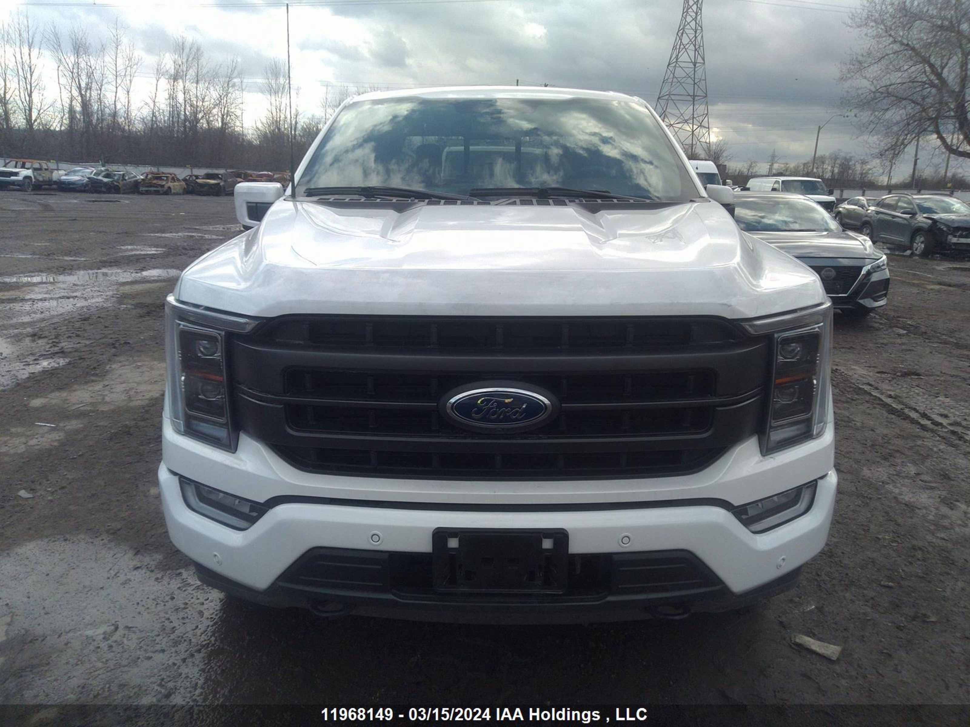 Photo 12 VIN: 1FTEW1EP4PFB39149 - FORD F-150 