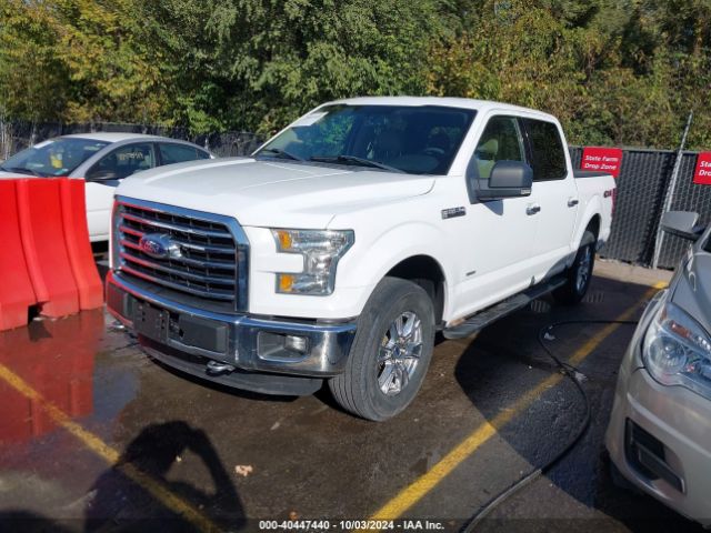 Photo 1 VIN: 1FTEW1EP5GKF18135 - FORD F-150 