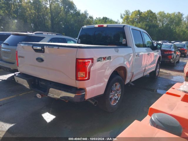 Photo 3 VIN: 1FTEW1EP5GKF18135 - FORD F-150 