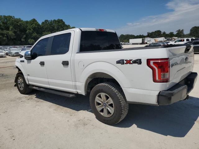 Photo 1 VIN: 1FTEW1EP5HFC31212 - FORD F-150 