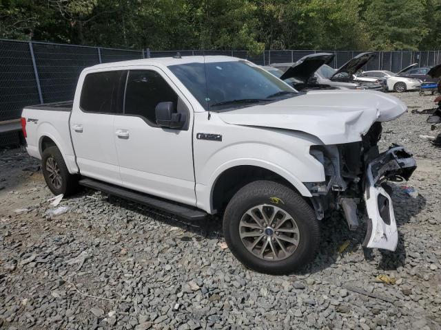 Photo 3 VIN: 1FTEW1EP5KFD31219 - FORD F150 SUPER 