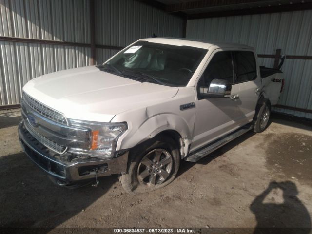 Photo 1 VIN: 1FTEW1EP5KKD25041 - FORD F-150 