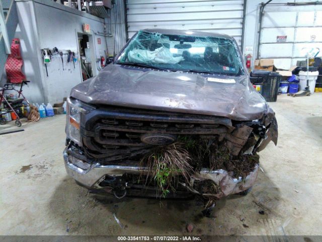 Photo 5 VIN: 1FTEW1EP5MFC99584 - FORD F-150 