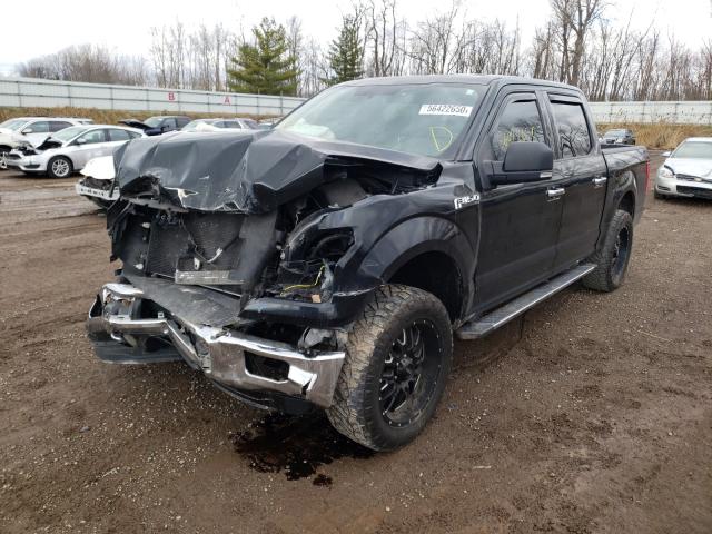 Photo 1 VIN: 1FTEW1EP6FFB22495 - FORD F150 SUPER 