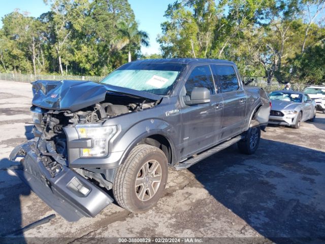 Photo 1 VIN: 1FTEW1EP6FFB89503 - FORD F-150 