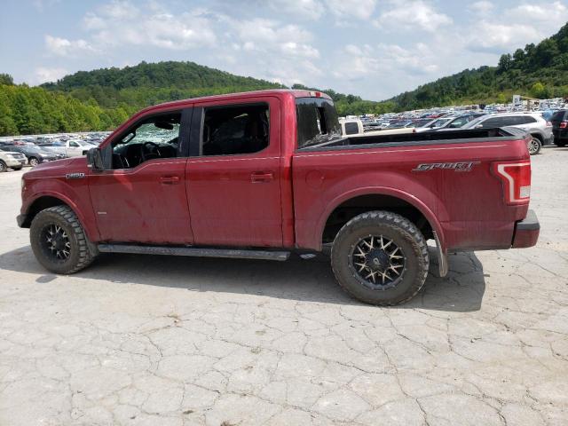 Photo 1 VIN: 1FTEW1EP6FFC73255 - FORD F150 SUPER 