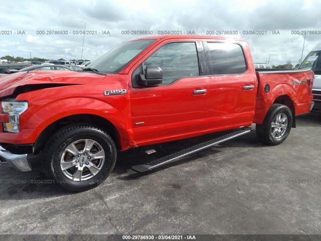 Photo 5 VIN: 1FTEW1EP6GFC14143 - FORD F-150 