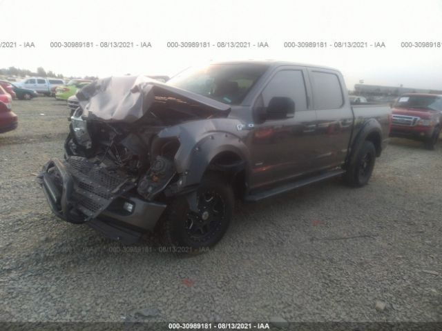 Photo 1 VIN: 1FTEW1EP6GKF50771 - FORD F-150 