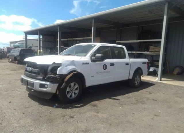 Photo 1 VIN: 1FTEW1EP6GKF54271 - FORD F-150 