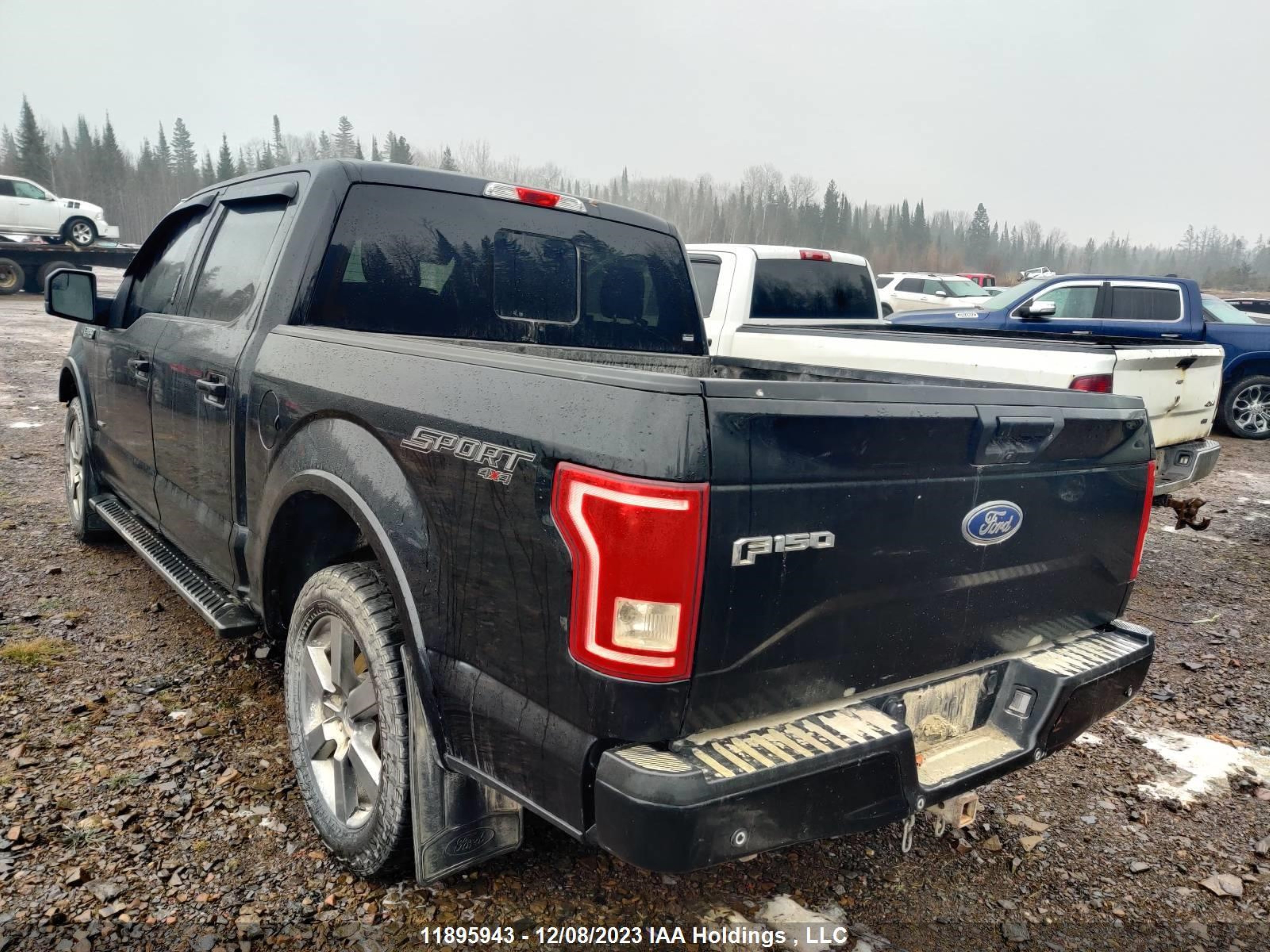 Photo 3 VIN: 1FTEW1EP6HFA14560 - FORD F-150 