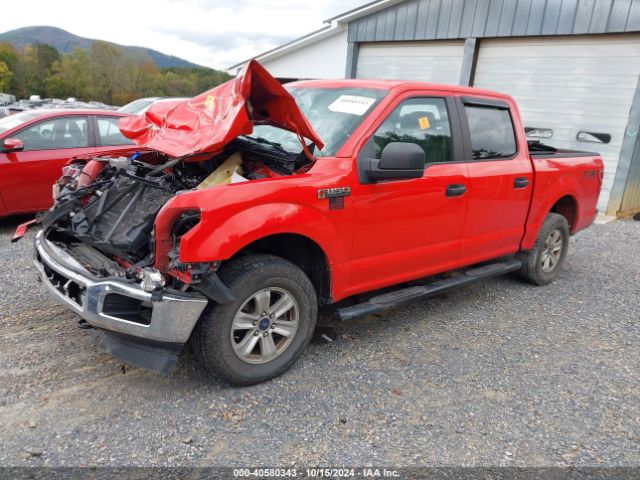 Photo 1 VIN: 1FTEW1EP6JFD94098 - FORD F-150 