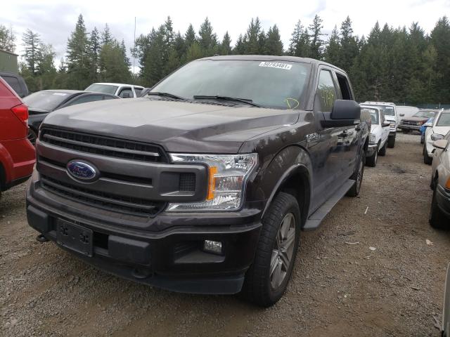 Photo 1 VIN: 1FTEW1EP6JKF36747 - FORD F150 SUPER 