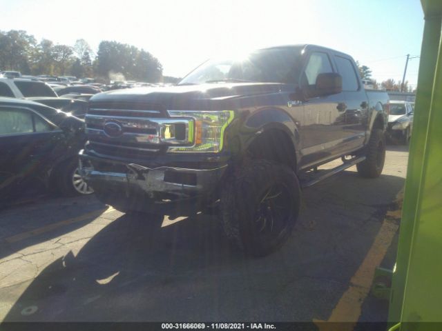 Photo 1 VIN: 1FTEW1EP6LFB21570 - FORD F-150 