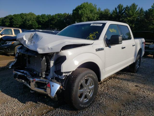 Photo 1 VIN: 1FTEW1EP6LKE16143 - FORD F150 SUPER 