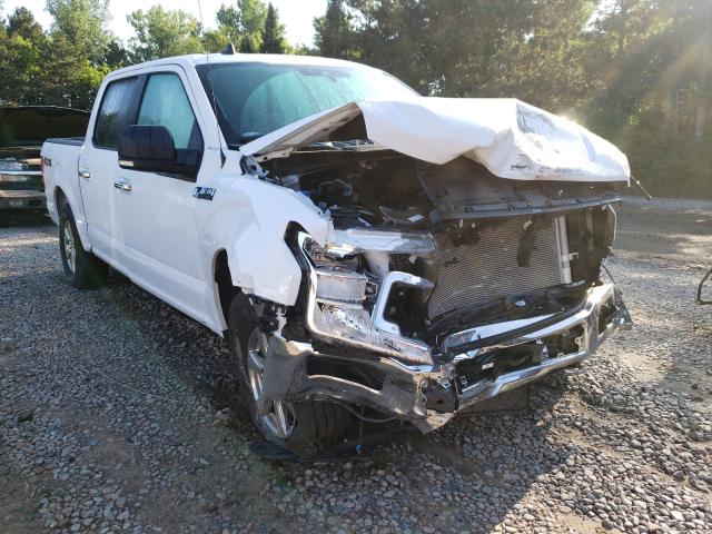 Photo 8 VIN: 1FTEW1EP6LKE16143 - FORD F150 SUPER 