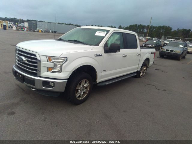 Photo 1 VIN: 1FTEW1EP7GFC12224 - FORD F-150 