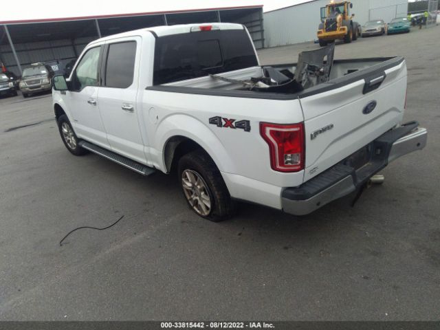 Photo 2 VIN: 1FTEW1EP7GFC12224 - FORD F-150 