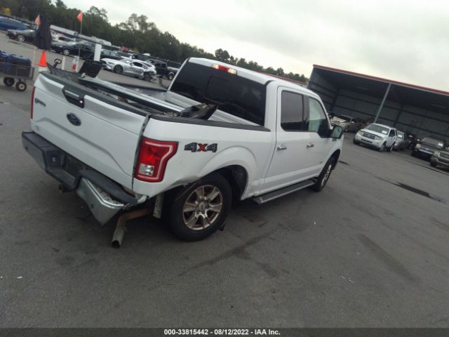 Photo 3 VIN: 1FTEW1EP7GFC12224 - FORD F-150 