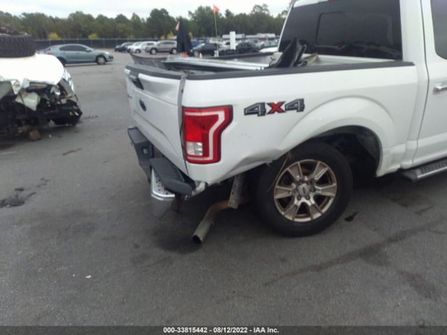 Photo 5 VIN: 1FTEW1EP7GFC12224 - FORD F-150 