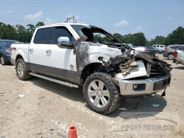 Photo 3 VIN: 1FTEW1EP7GKD61756 - FORD F-150 