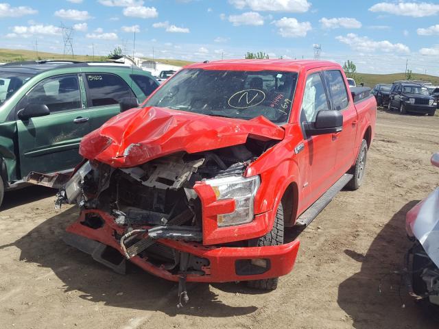 Photo 1 VIN: 1FTEW1EP7GKF51444 - FORD F150 SUPER 