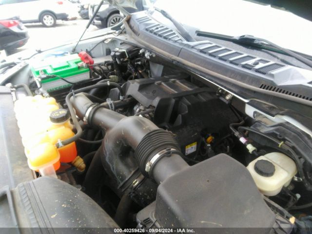 Photo 9 VIN: 1FTEW1EP7HFA81667 - FORD F-150 