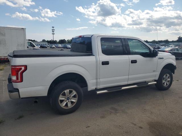 Photo 2 VIN: 1FTEW1EP7HFC30157 - FORD F150 SUPER 