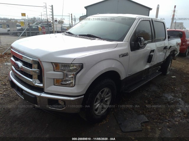 Photo 1 VIN: 1FTEW1EP7HKC80399 - FORD F-150 