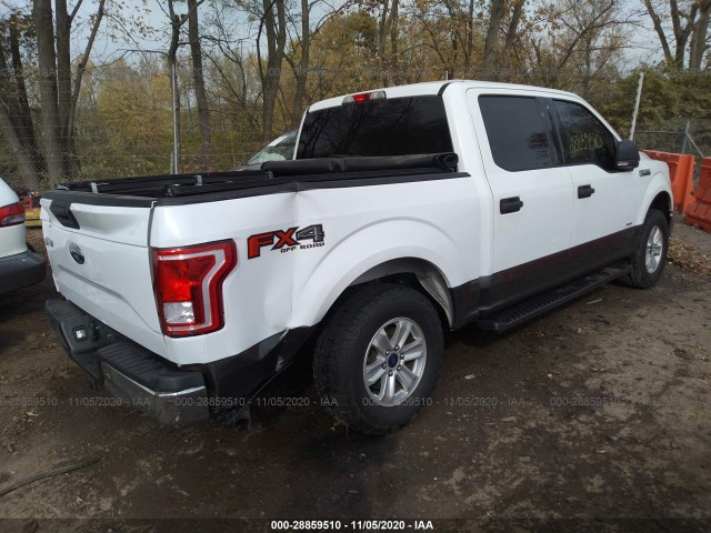 Photo 3 VIN: 1FTEW1EP7HKC80399 - FORD F-150 