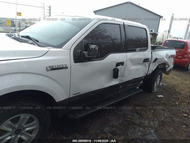 Photo 5 VIN: 1FTEW1EP7HKC80399 - FORD F-150 