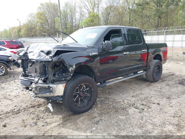 Photo 1 VIN: 1FTEW1EP7LKE84337 - FORD F-150 