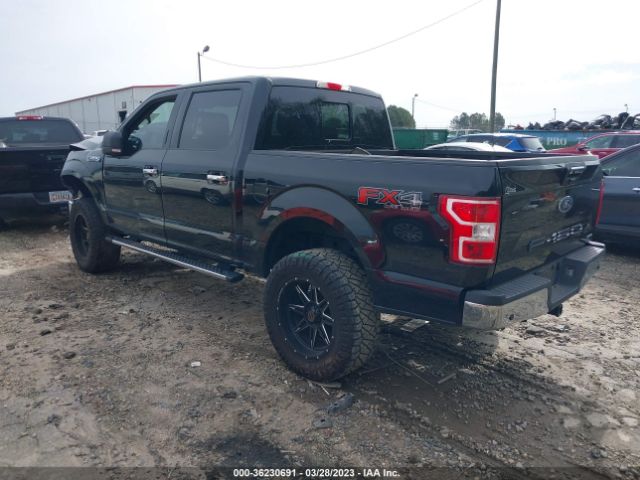 Photo 2 VIN: 1FTEW1EP7LKE84337 - FORD F-150 