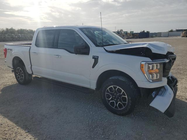 Photo 3 VIN: 1FTEW1EP7MFD04378 - FORD F150 SUPER 