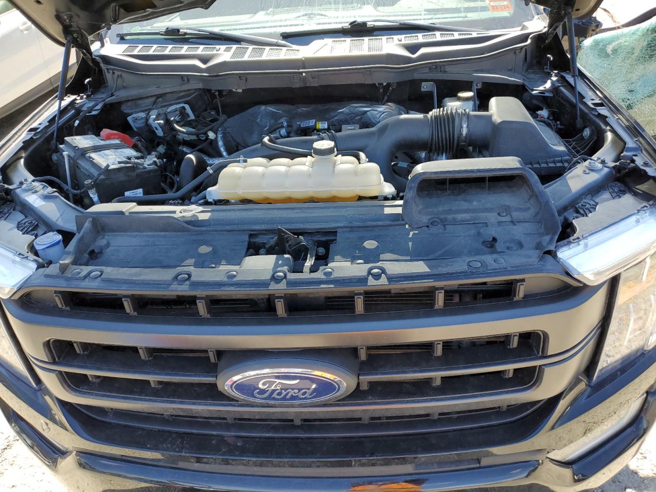 Photo 10 VIN: 1FTEW1EP7NFB60316 - FORD F-150 