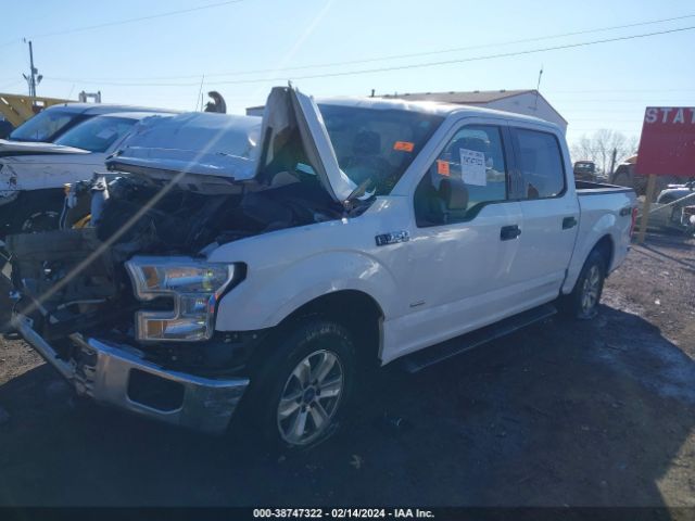 Photo 1 VIN: 1FTEW1EP8FFC58224 - FORD F-150 