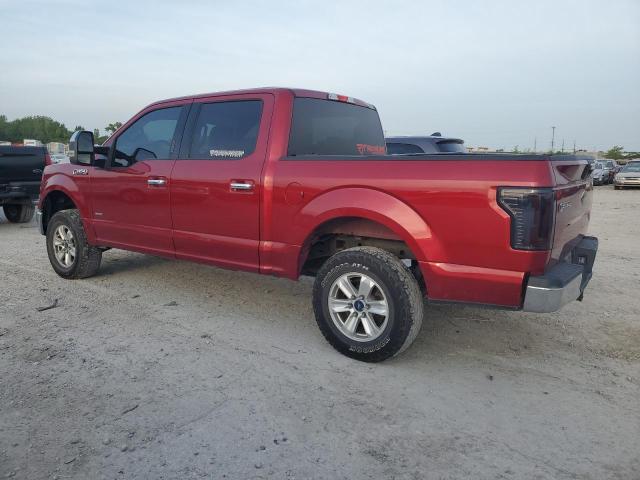 Photo 1 VIN: 1FTEW1EP8FFC72480 - FORD F150 SUPER 