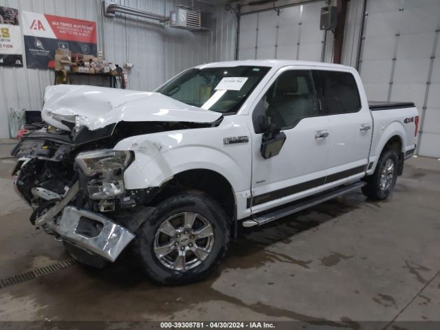 Photo 1 VIN: 1FTEW1EP8FKD59223 - FORD F150 